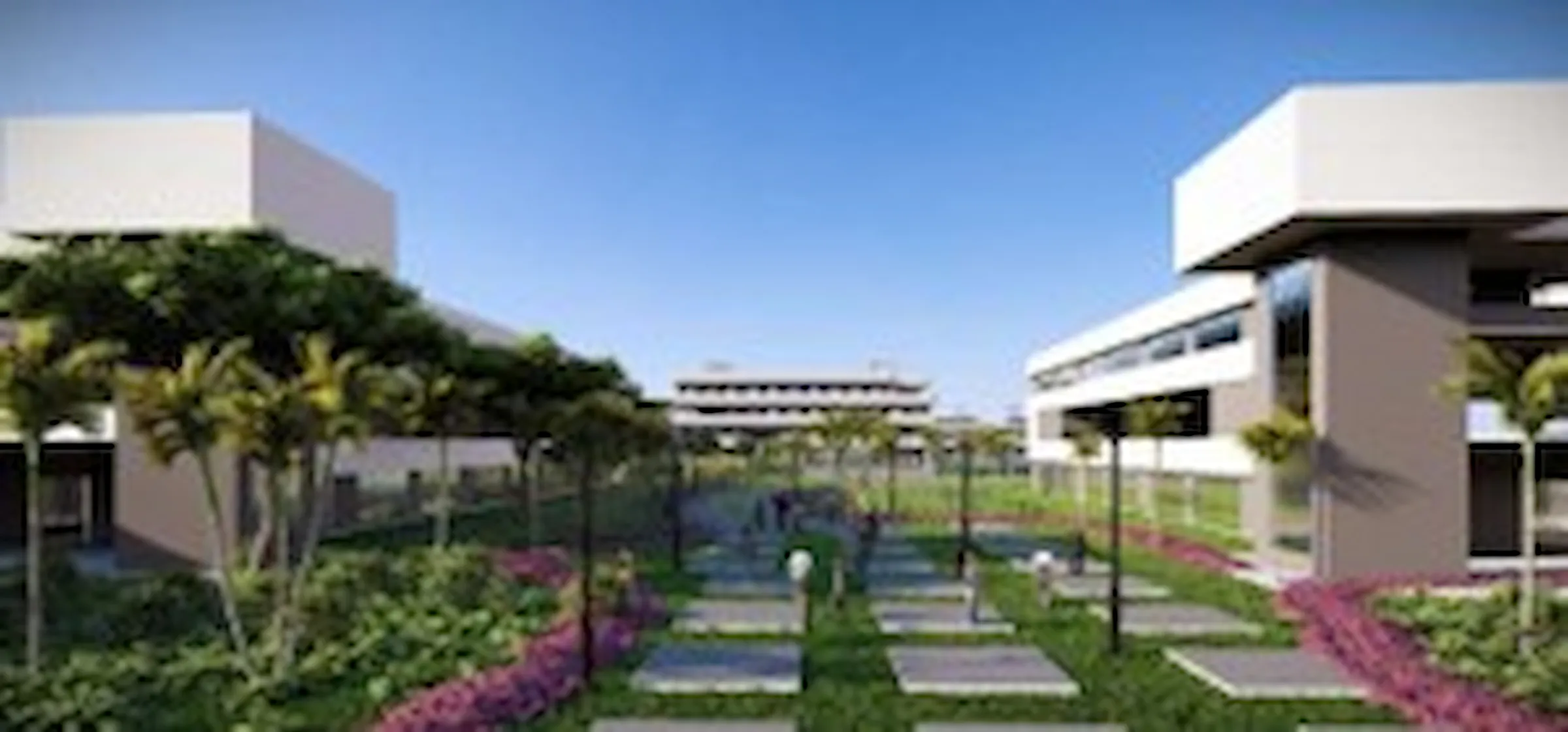 Technicon & Medical/Trade Colleges